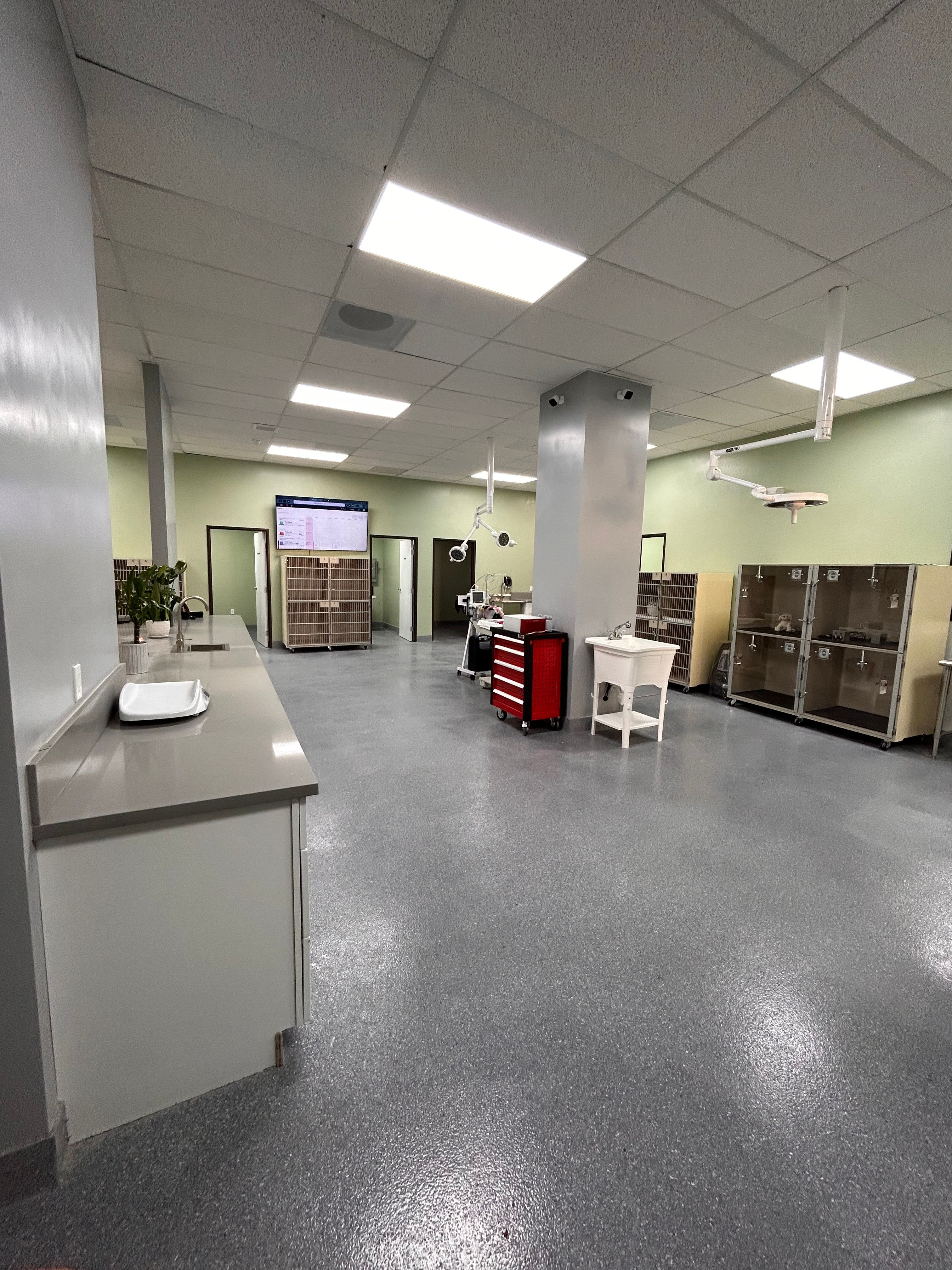 Photo from The Greater Good Veterinary and ER Center