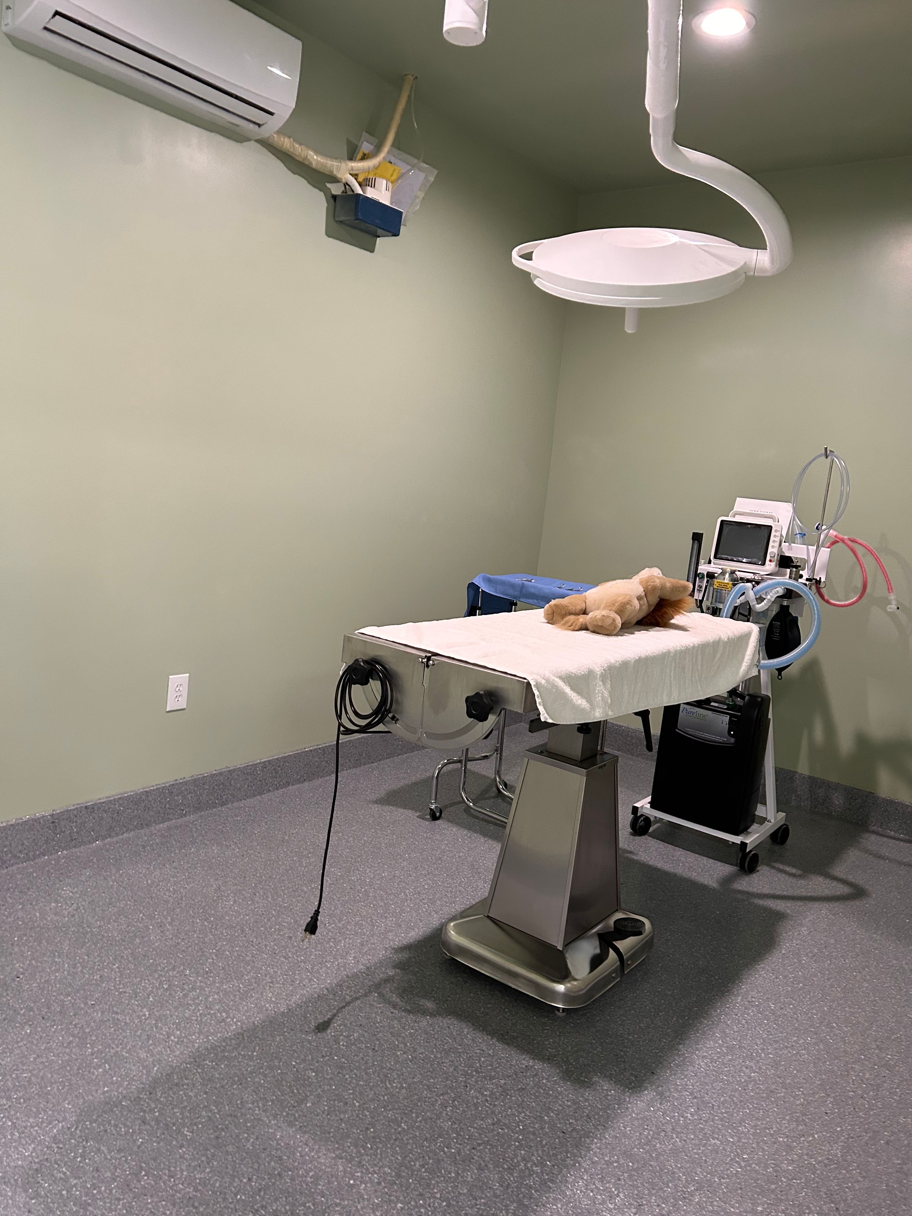 Photo from The Greater Good Veterinary and ER Center